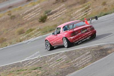 media/Nov-18-2023-Extreme Speed (Sat) [[10c227f63a]]/2-Green/Rear shots/